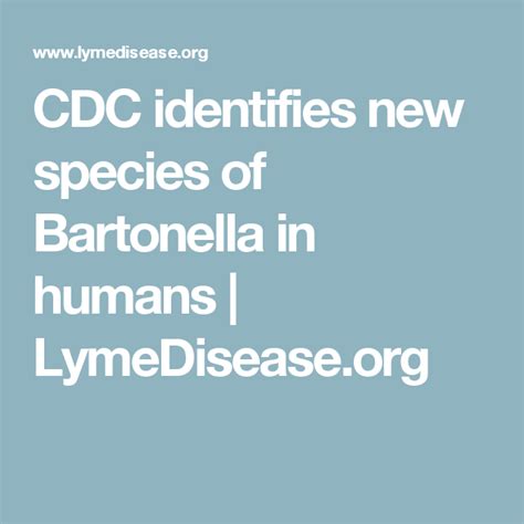 Cdc Identifies New Species Of Bartonella In Humans