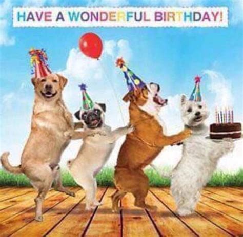 Chocolate birthday cake with 3. Pin by Jill Watson on Birthday Meme's | Happy birthday dog ...