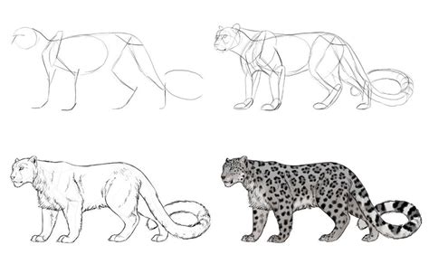 We did not find results for: How to Draw Big Cats: Lions, Tigers, Cheetahs, and More — Everything you need to know to draw ...