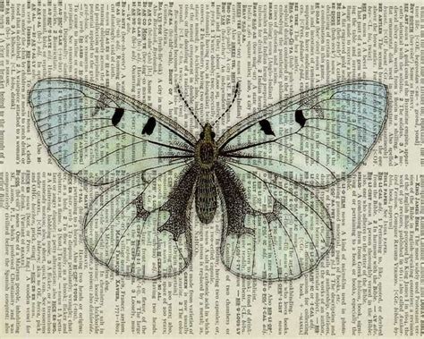 Pin By Carmen Mateo On Project Muse Vintage Butterfly Print Vintage