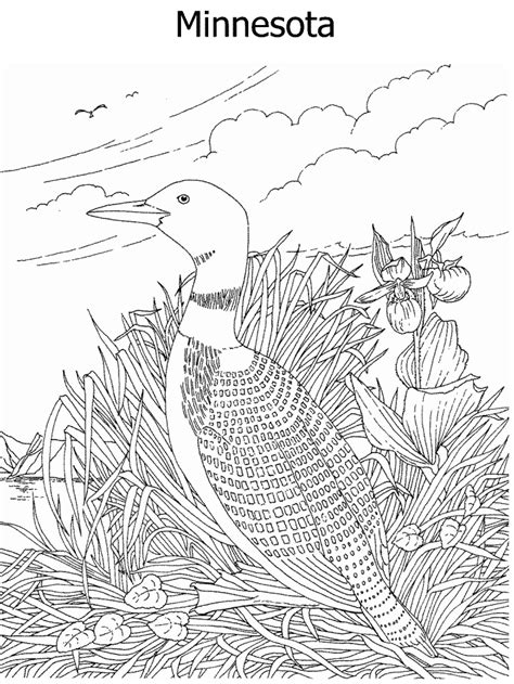Color in the cardinal, the state bird of kentucky, in this state bird coloring page. State Flower and State Bird coloring page