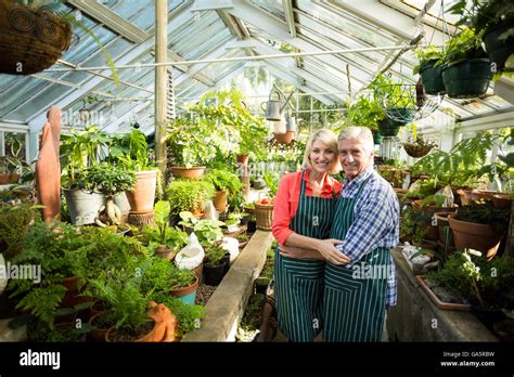 Couple Standing Amidst Plants At Greenhouse Stock Photo Alamy