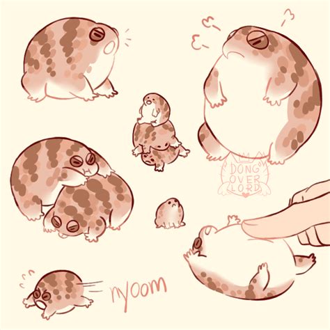 Desert Rain Frogs Are Best Froggos By Dongoverlord On Deviantart