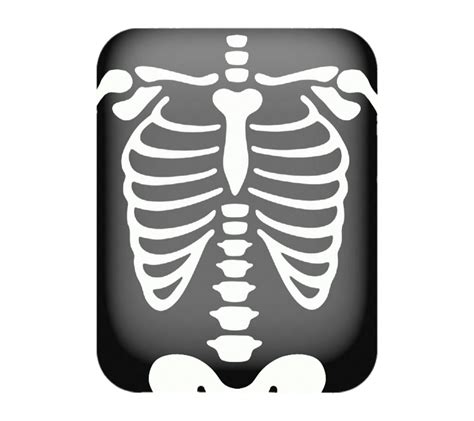 X Ray Png Transparent Png All