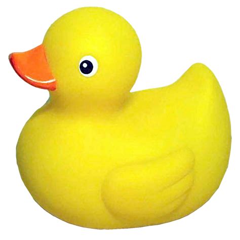 Whats In Your Rubber Duck •