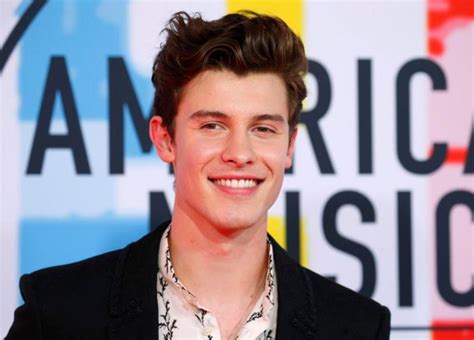 Shawn Mendes Cancel Tour Due To Mental Health Concerns