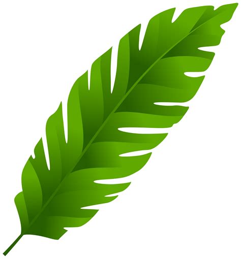 Free Green Leaf Clipart Download Free Green Leaf Clipart Png Images