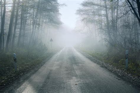 Foggy Country Road With Wet Asphalt Leads Through A Forest Traffic