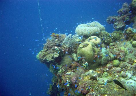 Chuuk Truk Lagoon Is Filled With The Remains Of Japanese World War Ii
