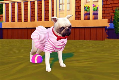 Small Dog Dress N1 At Studio K Creation Sims 4 Updates