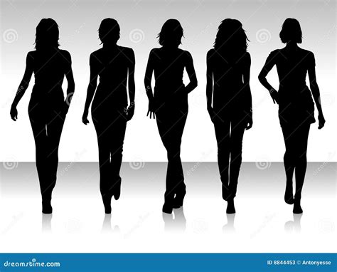 Femmes De Silhouette Illustration De Vecteur Illustration Du Cause