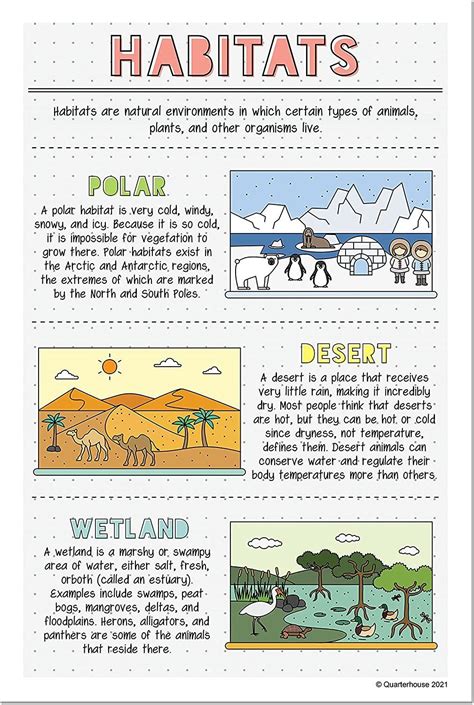 High School Social Studies Teacher Geography Classroom Color Posters