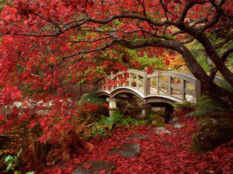 Beautiful Kyoto Gardens Japan World For Travel