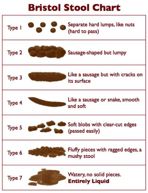 Best Bristol Stool Form Chart In The World Check It Out Now Stoolz