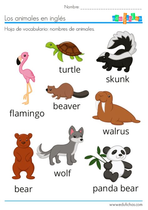 Animales En InglÉs Vocabulario Ejercicios Flashcards