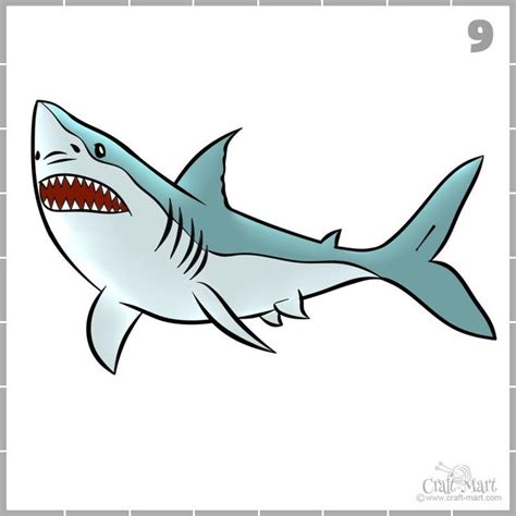 How To Draw A Shark In 9 Easy Steps Shark Drawing Shark Painting