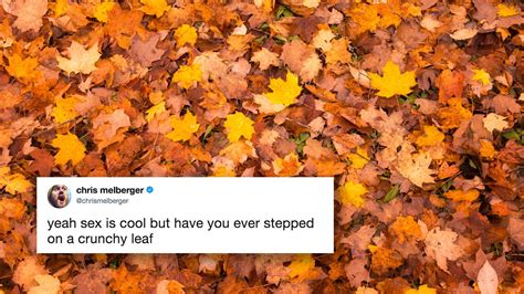 People Are Using This Twitter Meme To Name Things That Are Better Than Sex Teen Vogue