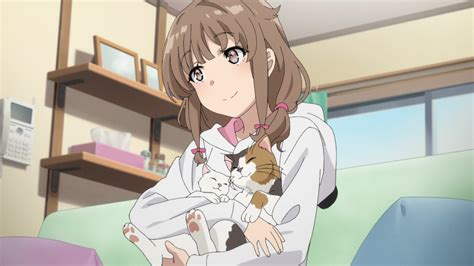 Bunny Girl Senpai Anime Cover