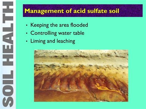 Acid Soil And Acid Sulphate Soil Genesis And Characteristics Ppt