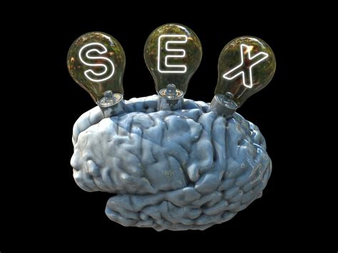 Brain Sex In Men And Women From Arousal To Orgasm Brain Blogger