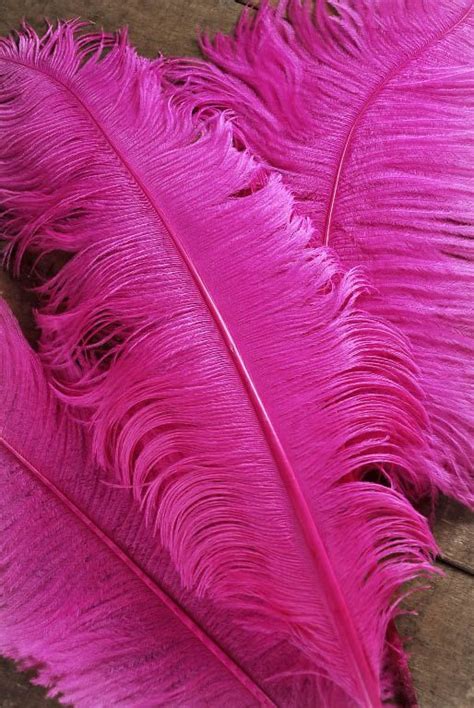 Craft Feathers Pastel Pink Aesthetic Hot Pink Walls Pink Aesthetic