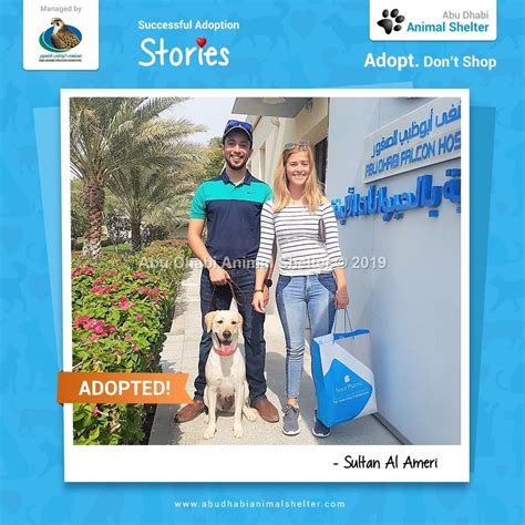 Abu Dhabi Animal Shelter Animal Shelter Adoption Stories Dog List