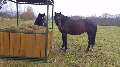 Image Result For Large Square Hay Bale Feeders Hay Feeder For Horses