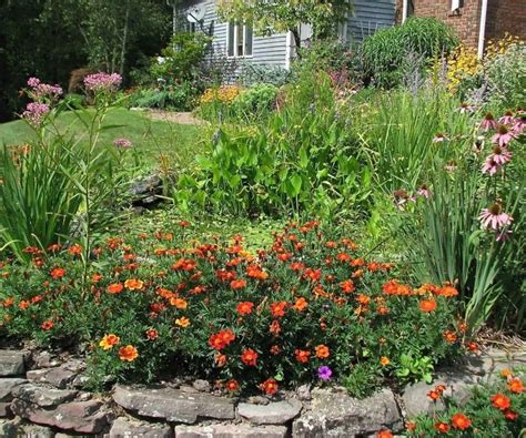 15 Easy Butterfly Garden Ideas And Butterfly Garden Guide Foter