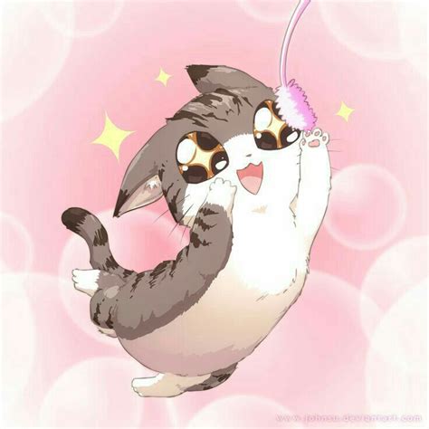 Nơi Xả ảnh Của Tớ Đd Cute Anime Cat Kawaii Cat Anime Cat