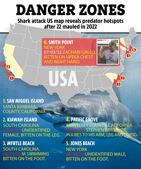 Shark Attacks 2022 How Many Shark Attacks Took Place In The United