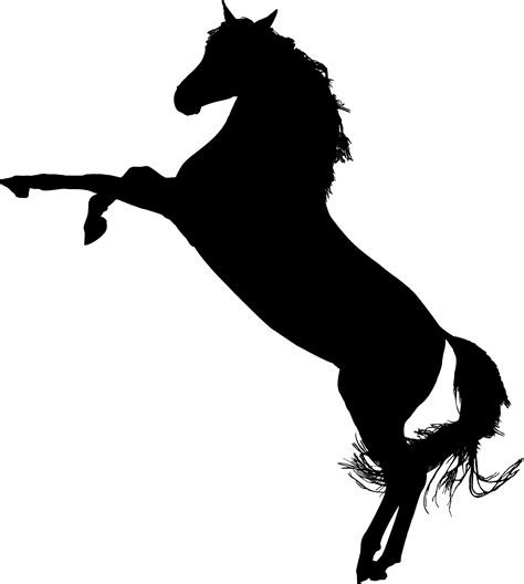 Horse Silhouette Png Png Image Collection
