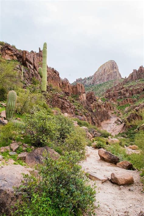 6 Superstition Mountain Hikes You Wont Want To Miss In 2020 Arizona
