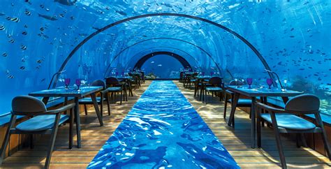 Die Top Unterwasserrestaurants Auf Den Malediven Dertour