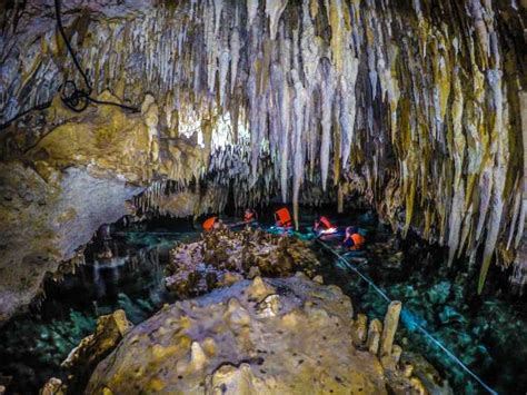 Playa Del Carmen Ruinas De Tulum Cuevas Y Nado Tortugas GetYourGuide