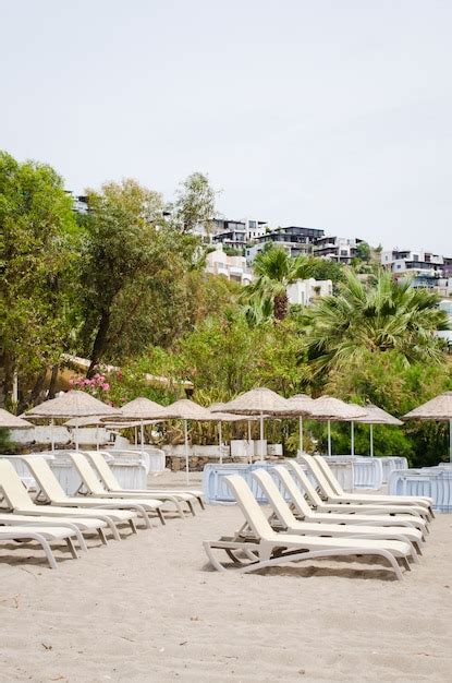 Premium Photo Rows Of Empty Sun Loungers And Umbrellas On The Beach