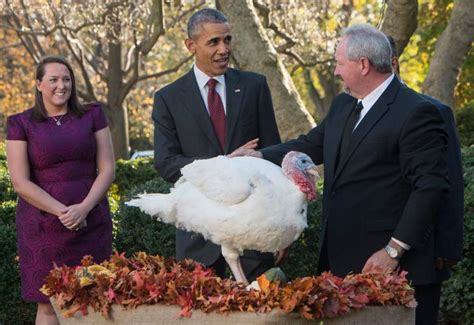 presidential turkey pardon ceremony 5 fast facts