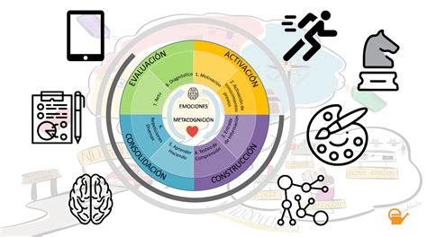 Fases Para Un Aprendizaje Significativo Desde La Neuroeducación