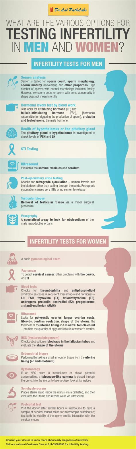 Testing For Male And Female Infertility Diagnosis And Treatment