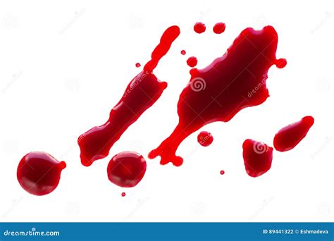 Blood Drops Isolated Stock Photo Image Of Stain Drop 89441322