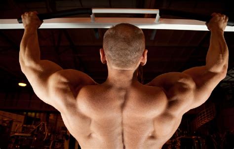 The extrinsic muscles that are associated with upper extremity and shoulder movement, and. The Anatomy Of The Back Muscles • Bodybuilding Wizard