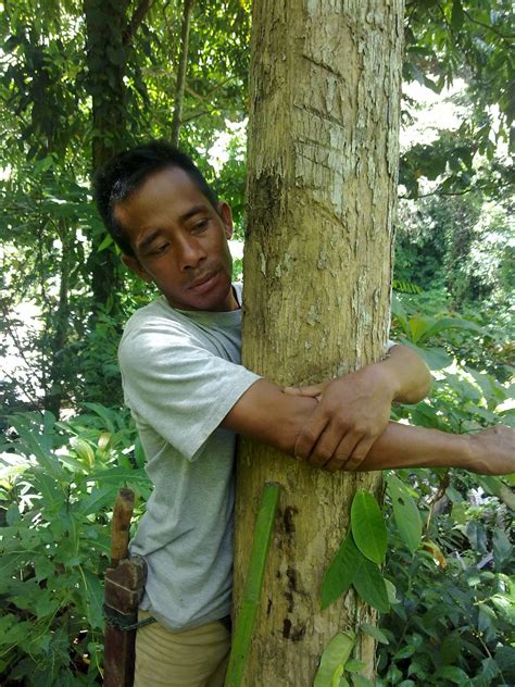 Selain itu, kamu juga bisa cek harga terbaru pohon jati dan diurutkan dari harga yang termurah! DIJUAL KEBUN JATI / KAYU JATI - JUAL KAYU JATI | KUSEN ...