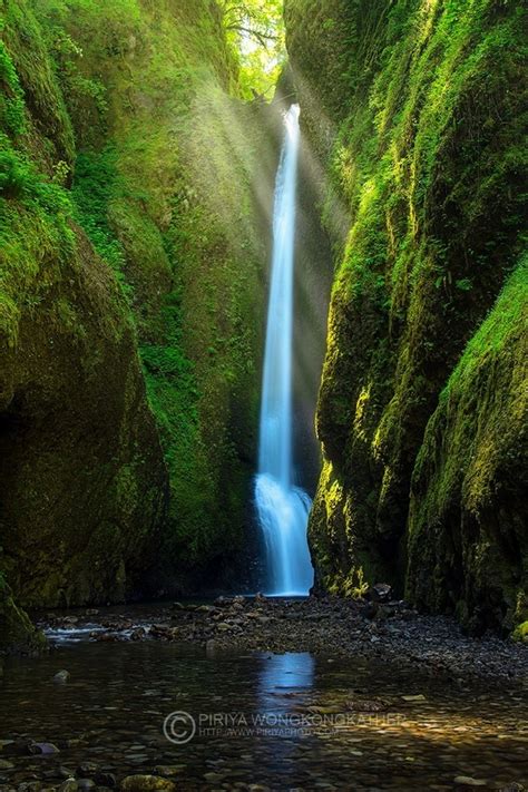 Forest Gem The Oneonta Falls In The Columbia River Gorge Oregon Photo