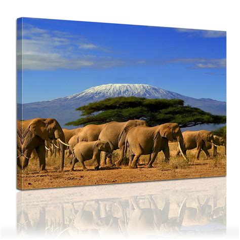 Majestic Elephants Nature Kingdoms