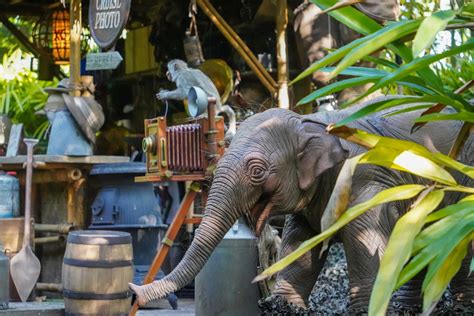 Photos Video Monkeys And Baby Elephant Finally Arrive In New Finale