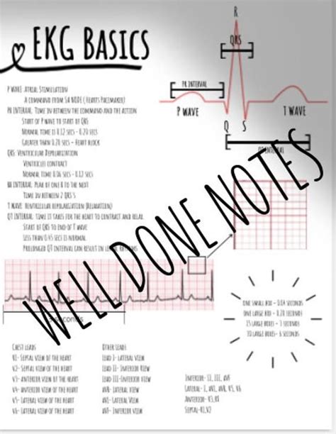 Ekg Basics Study Guide Etsy Nursing Notes Ekg Nursing School Notes
