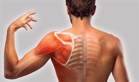 Blog Causes Of Pain Under Your Shoulder Blade
