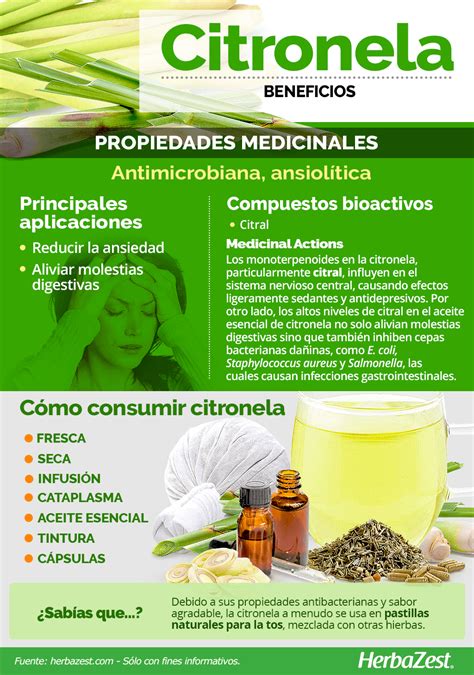 Citronela HerbaZest Health Food Health Tips Health And Wellness