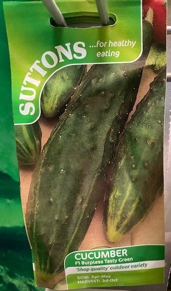 Cucumber Seeds F1 Burpless Tasty Green Welland Vale Garden