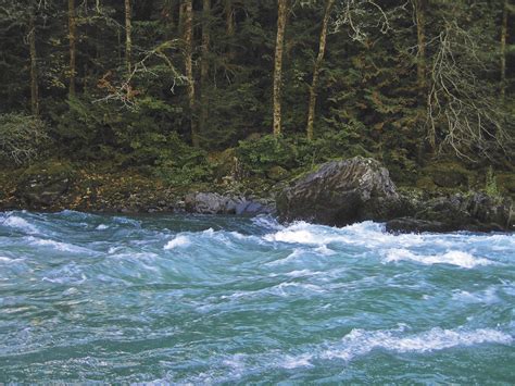 Magic Skagit The River Will Be Turned Into A Forever Stamp