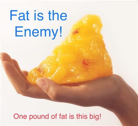 Fat Is The Enemy Understanding Inside Fat Dr Chris Saunders Md